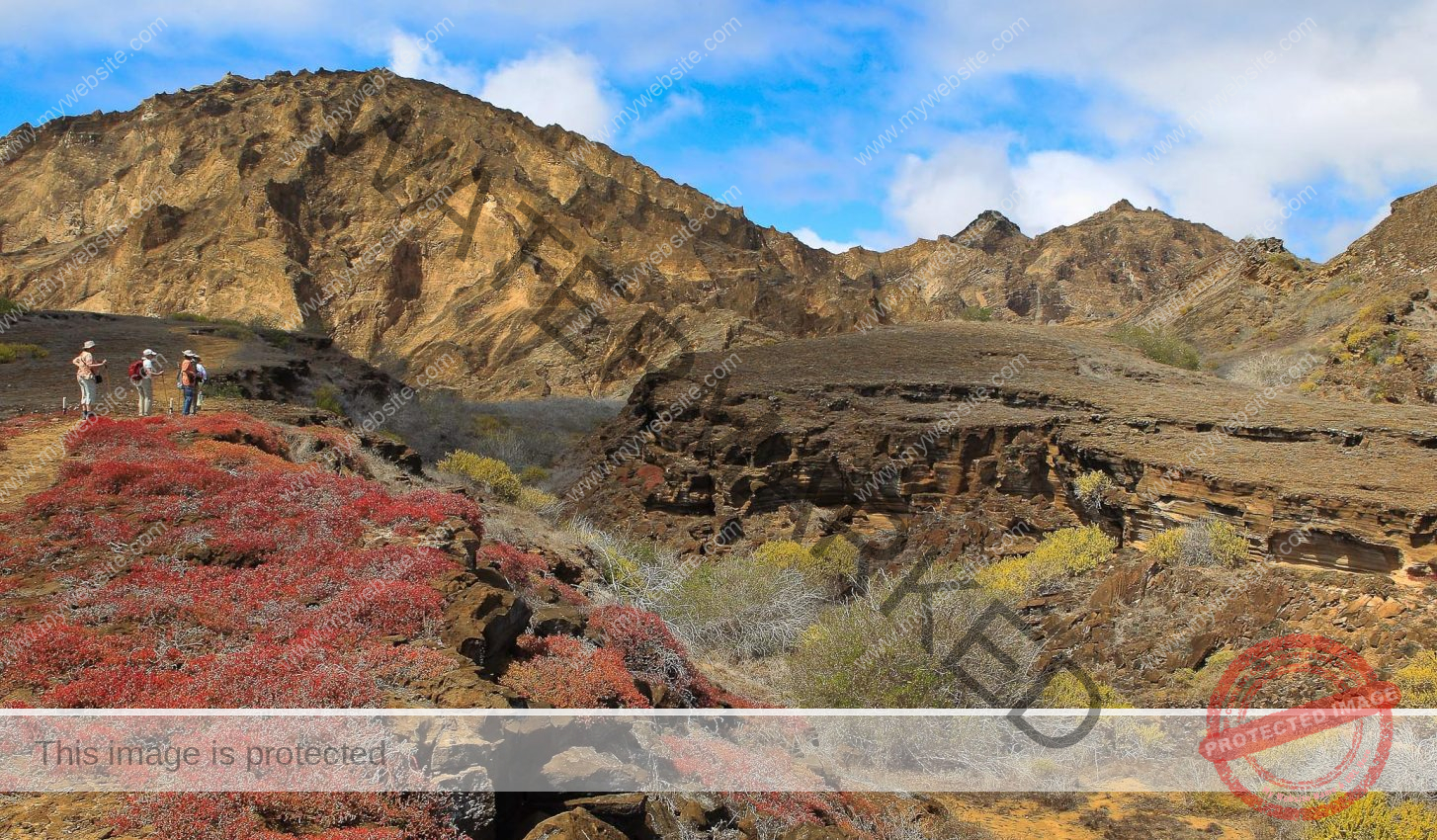 Peru - Galapgos 2012-95 (174 von 296)