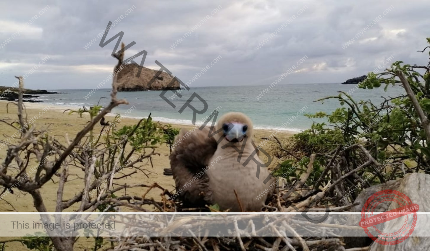 parquegalapagos_1716489659970