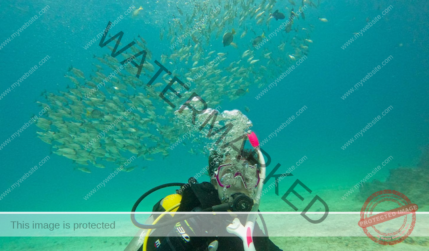 persona-bucendo-con-un-cardumen-de-peces-1