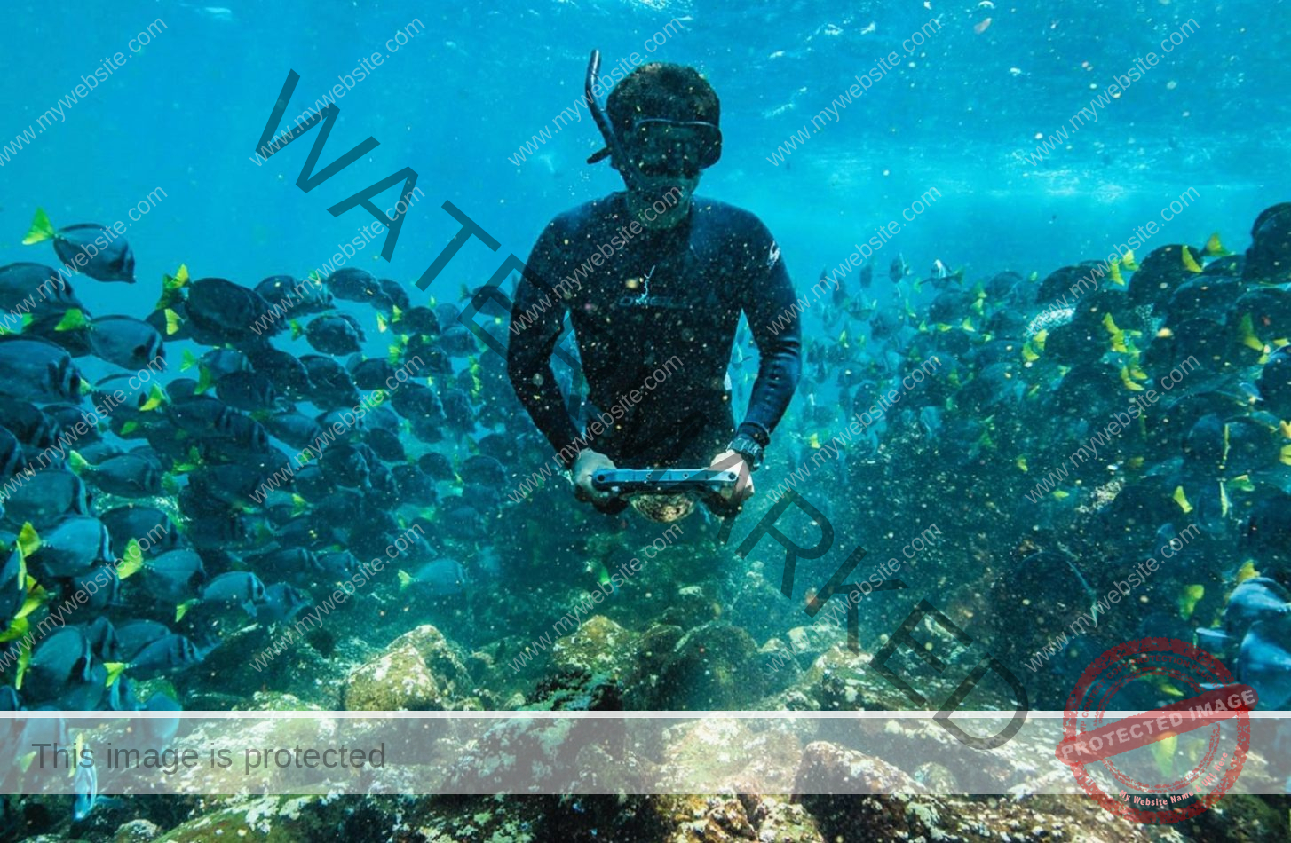 snorkeling-galapagos-islands